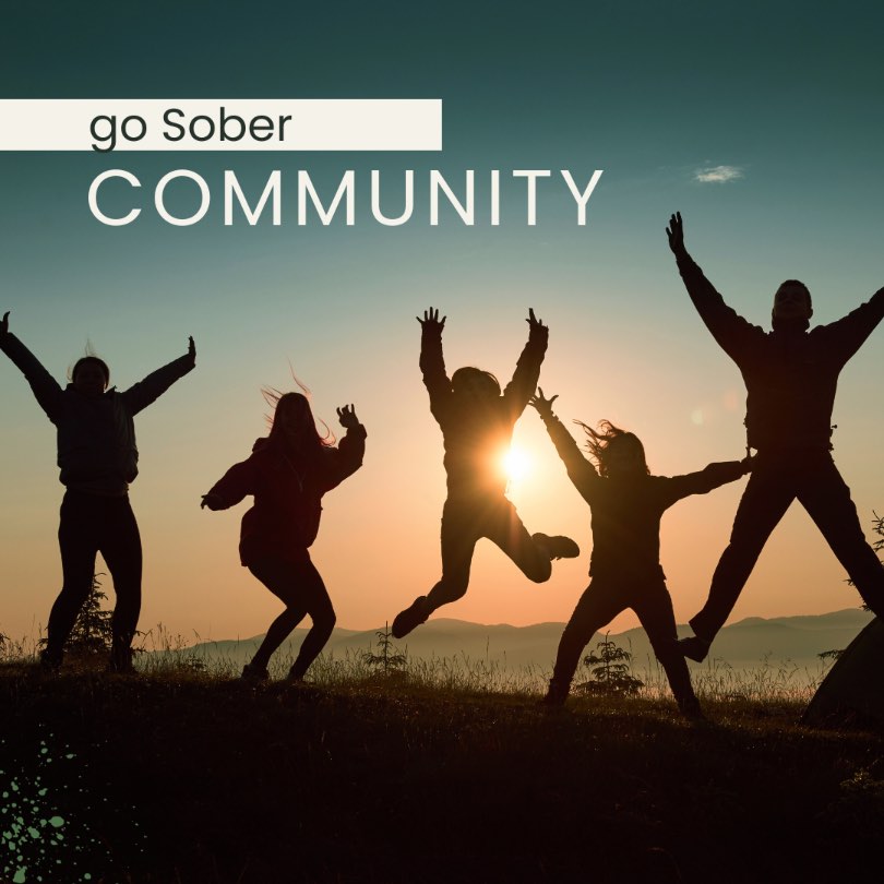 Go Sober Community mit Diana Lauber